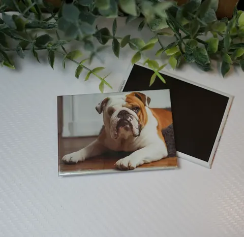 Rectangle magnet